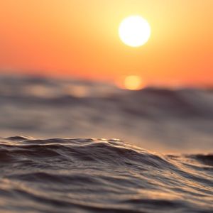 Meet your Posher, Isabella